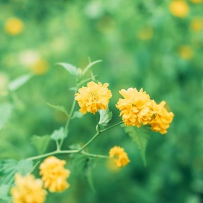 女王快跑小游戏(暂未上线)v1.0 安卓版